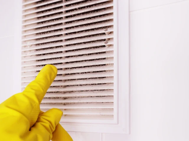 DIY vs. Professional Air Duct Cleaning: Which One is Right for You?