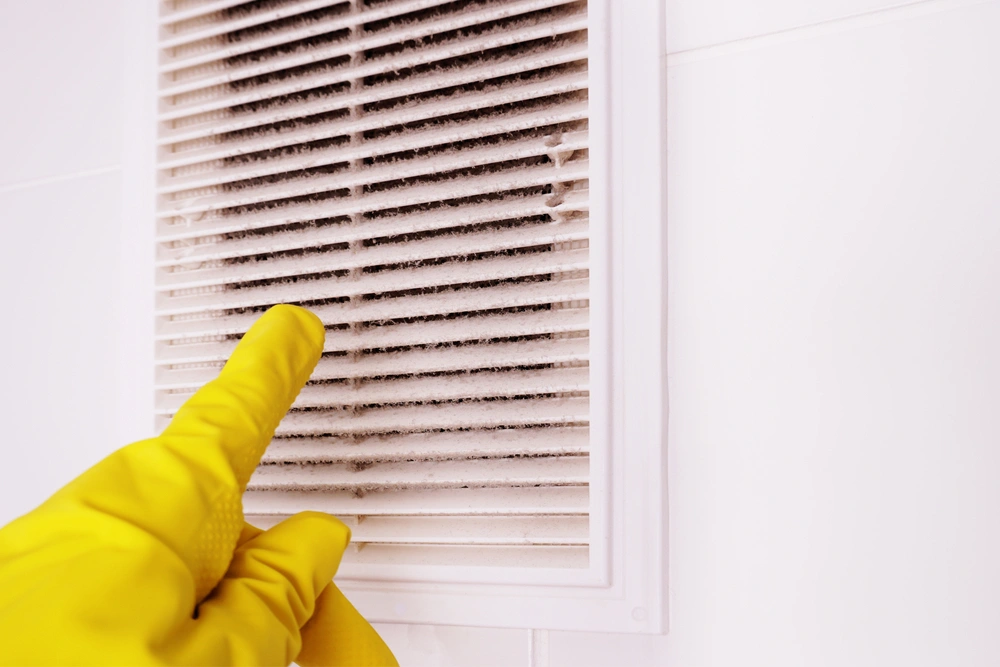DIY vs. Professional Air Duct Cleaning: Which One is Right for You?