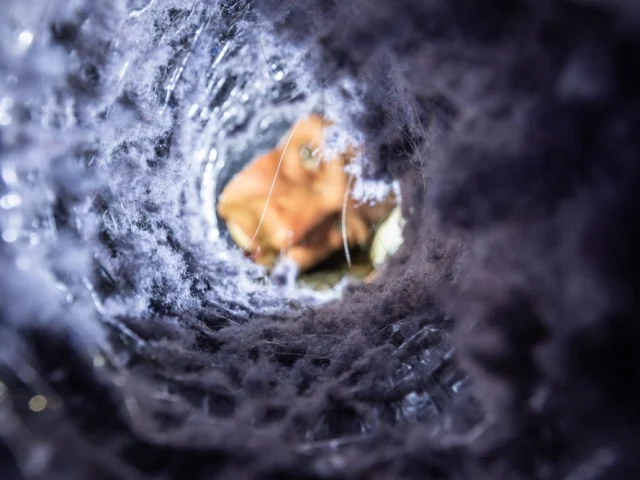 Why Your Clothes Stay Damp: The Hidden Impact of a Clogged Dryer Vent