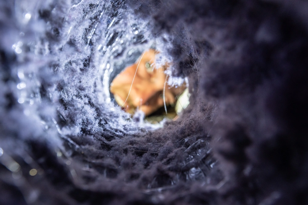 Why Your Clothes Stay Damp: The Hidden Impact of a Clogged Dryer Vent